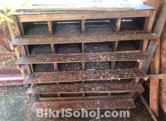 কবুতরের খোপ